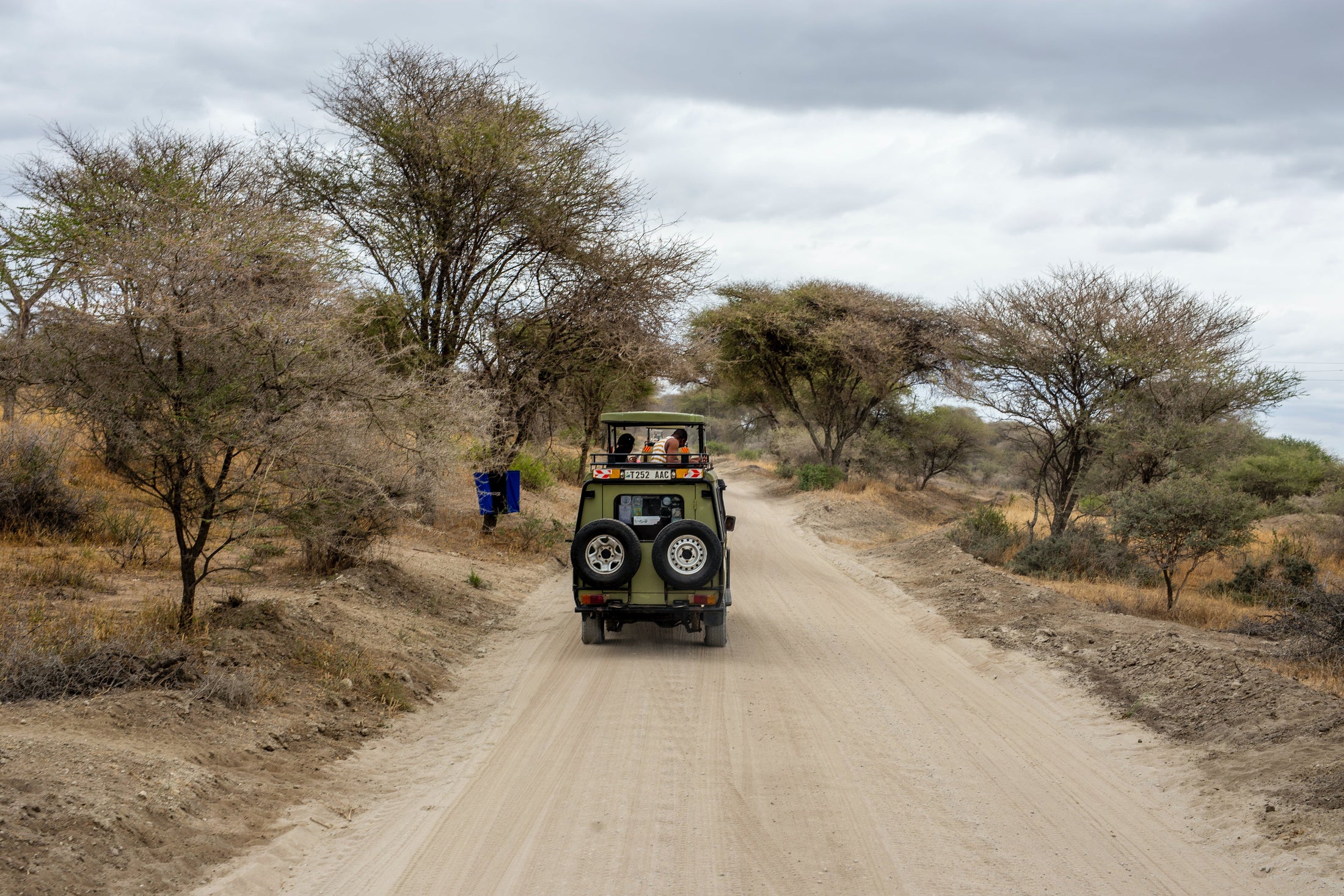 Adventure Awaits: Unforgettable Safari Experiences in Africa